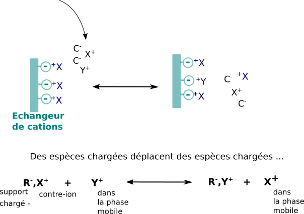 éch. de cations