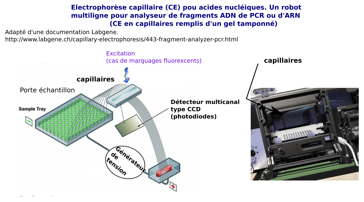 CE robotisée