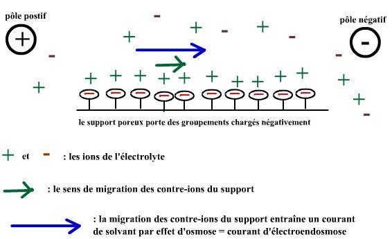 electroendosmose support