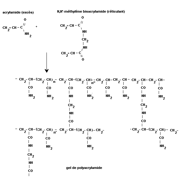 gel structure