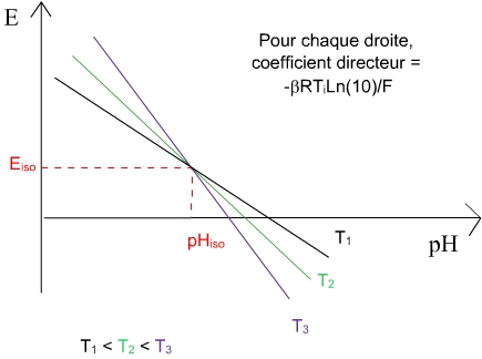 ef(ph-t) (38K)