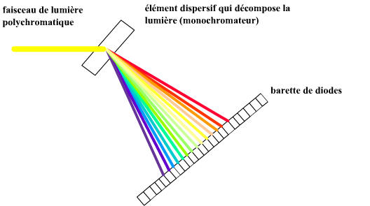 barettediodes (28K)