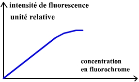 fluof(c) (16K)