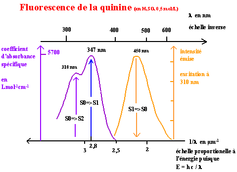 fluoquinine (29K)