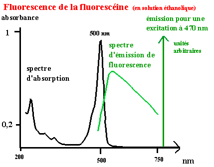 fluoresceine (5K)