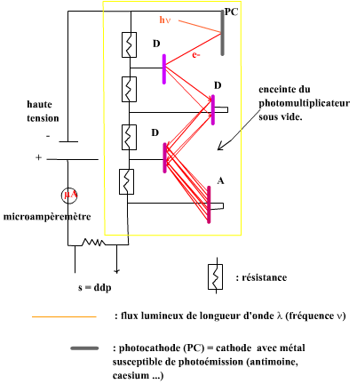 photomultiplicateur (19K)