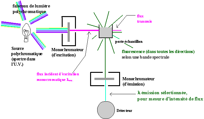 spectrofluorimetres (9K)