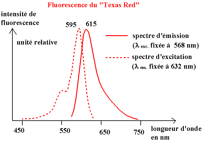 texasred (5K)