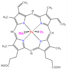 allosterie-heme (16K)