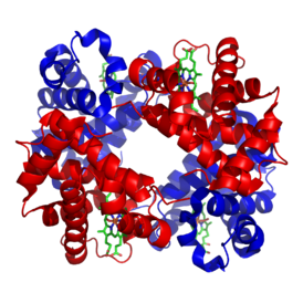 allosterie_haemoglobin (86K)