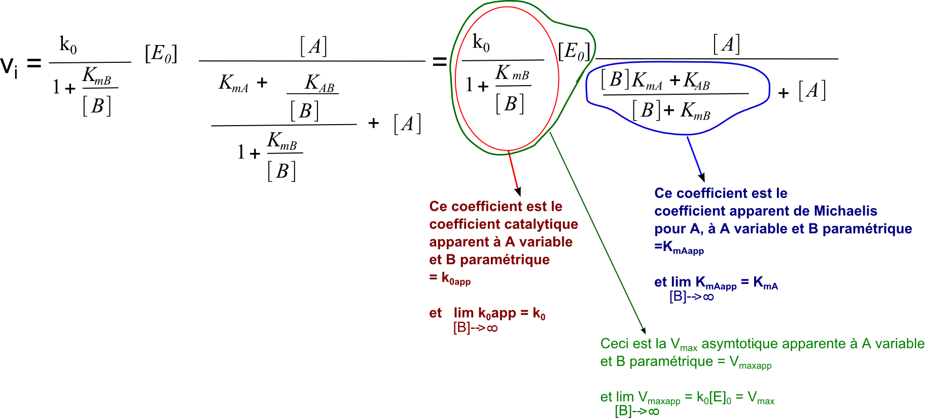 pluriplurimichaelis_bibialeatoire_eq3 (138K)