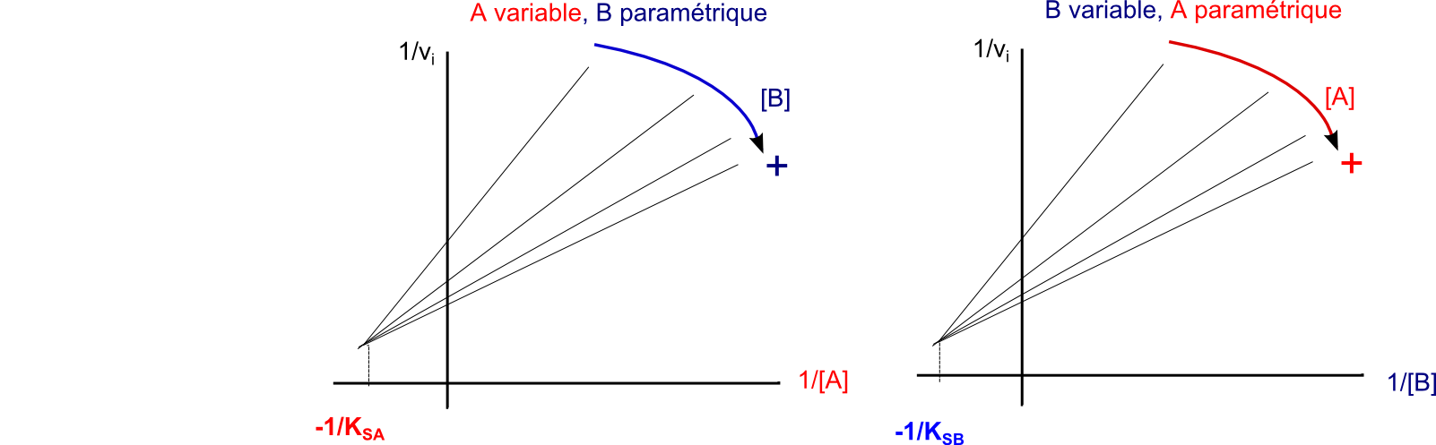 pluriplurimichaelis_bibialeatoire_inverses (57K)