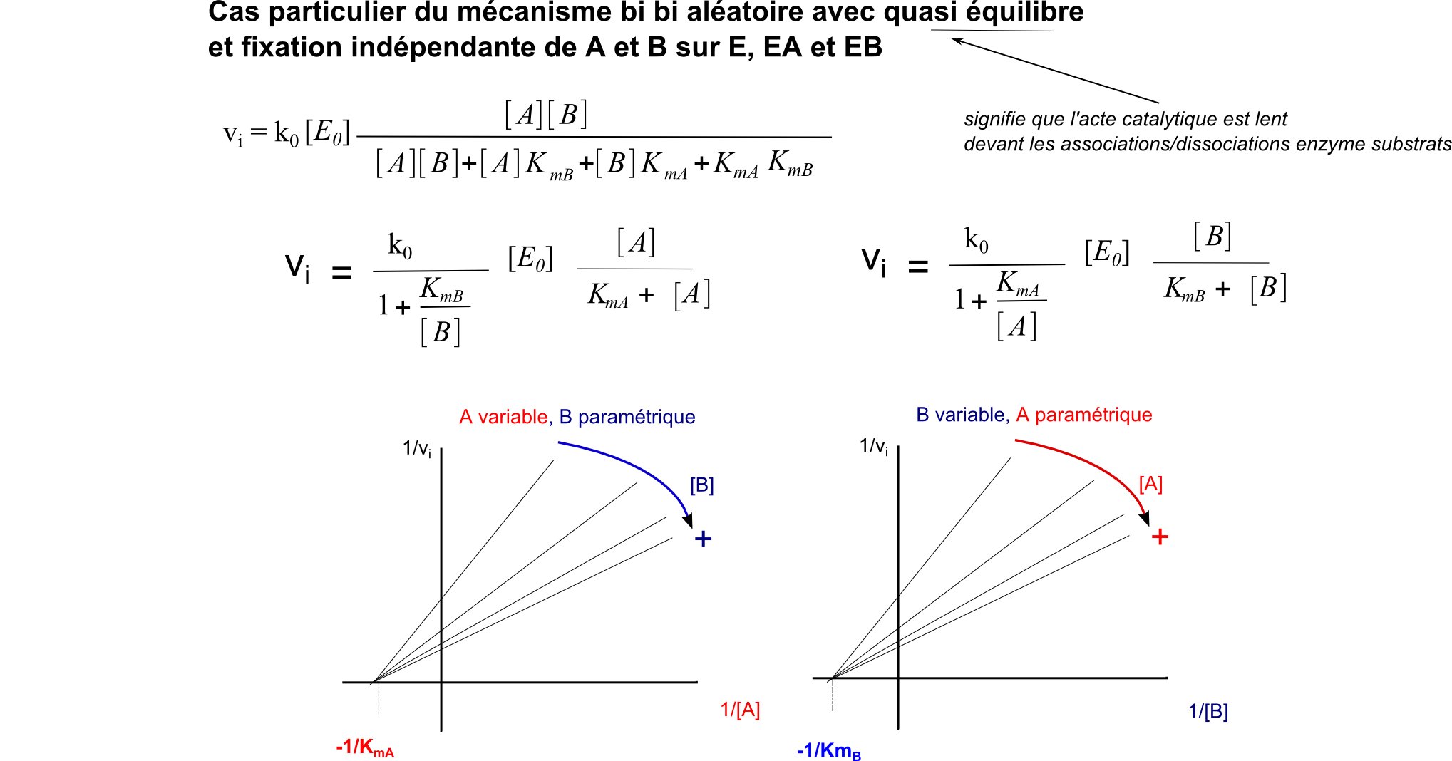 pluriplurimichaelis_bibialeatoireindep_inverses (137K)