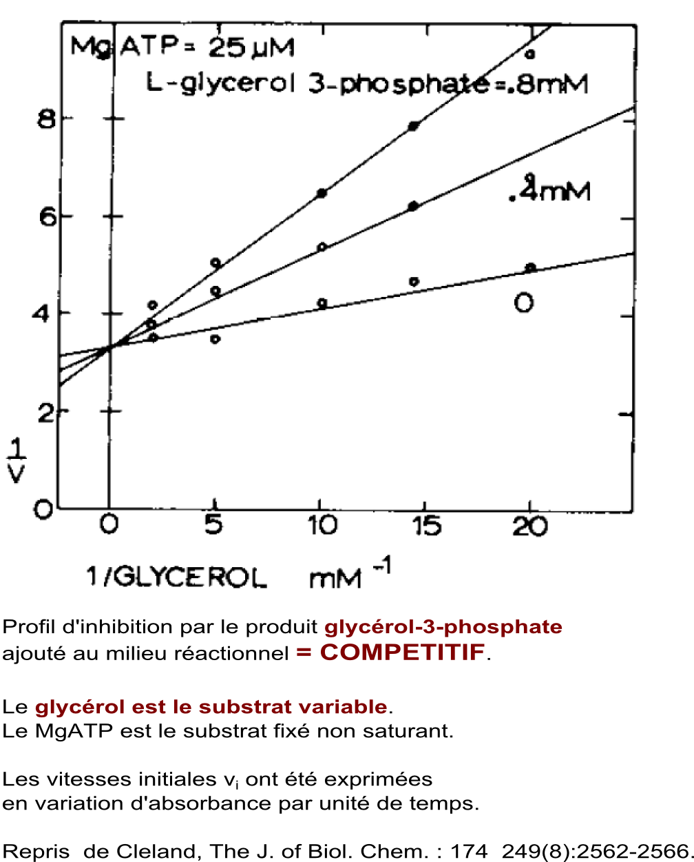 pluriplurimichaelis_gk-inhg3p (163K)