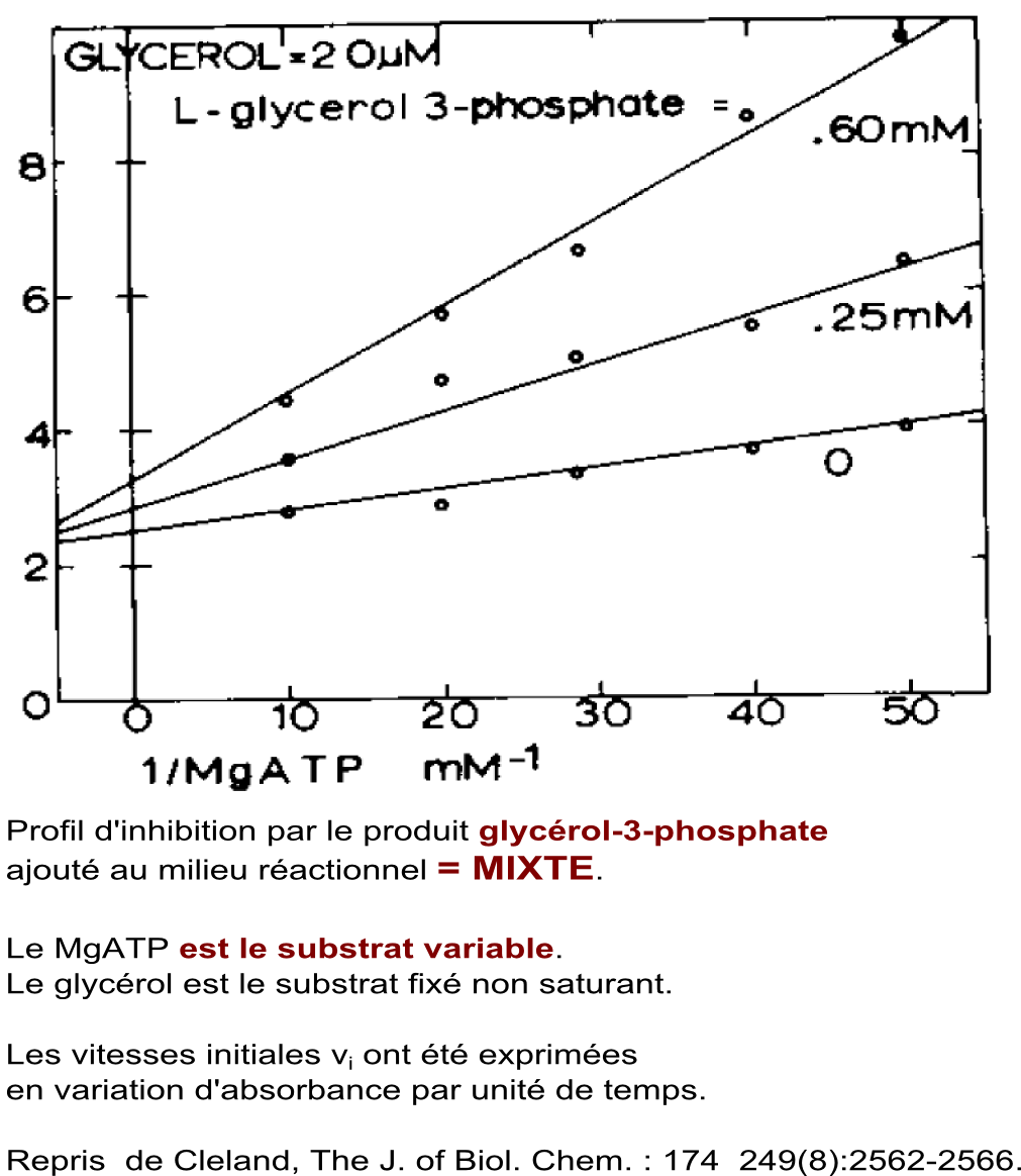 pluriplurimichaelis_gk-inhg3pbis (168K)