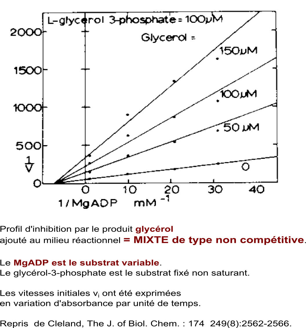 pluriplurimichaelis_gk-inhglycerolbis (192K)