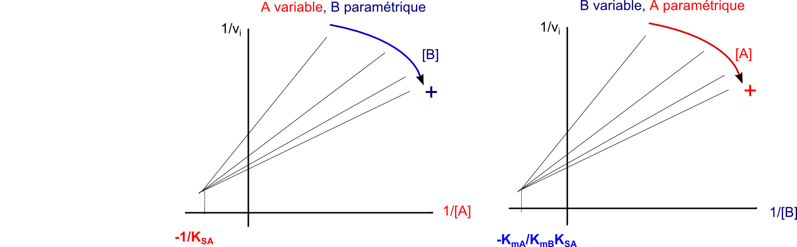 pluriplurimichaelis_ordonneternaire_inverses (7K)