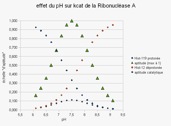 ribonuclease-effetph (8K)