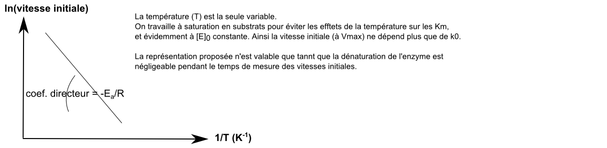 ln(vi)=f(1/T)