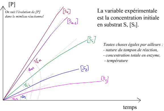 vi=f(S) image1