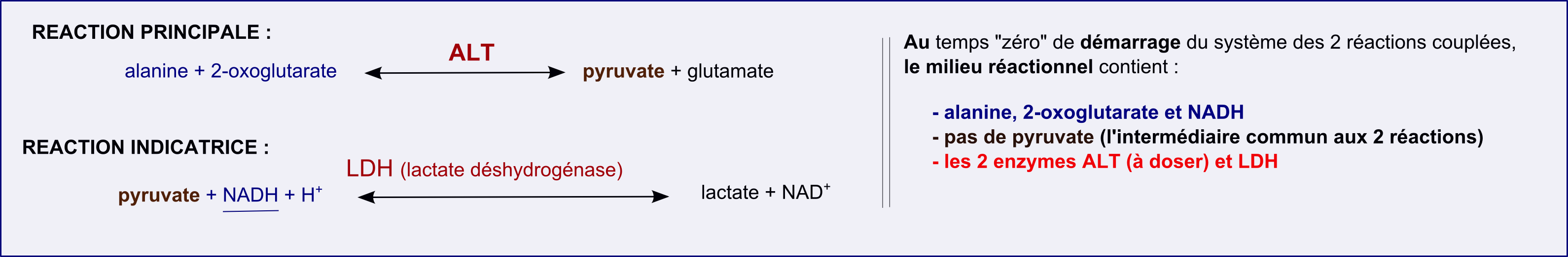 mesuredenzymesactivite-3-im1 (149K)