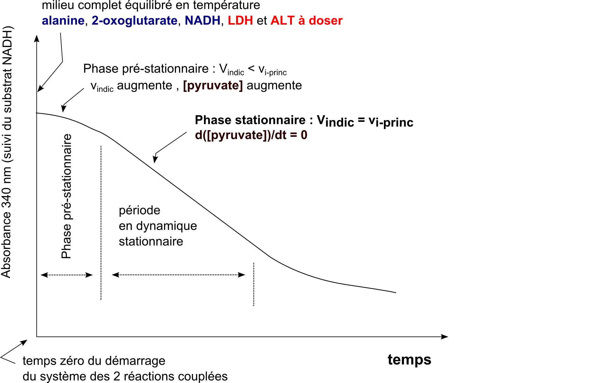 mesuredenzymesactivite-3-im2 (155K)