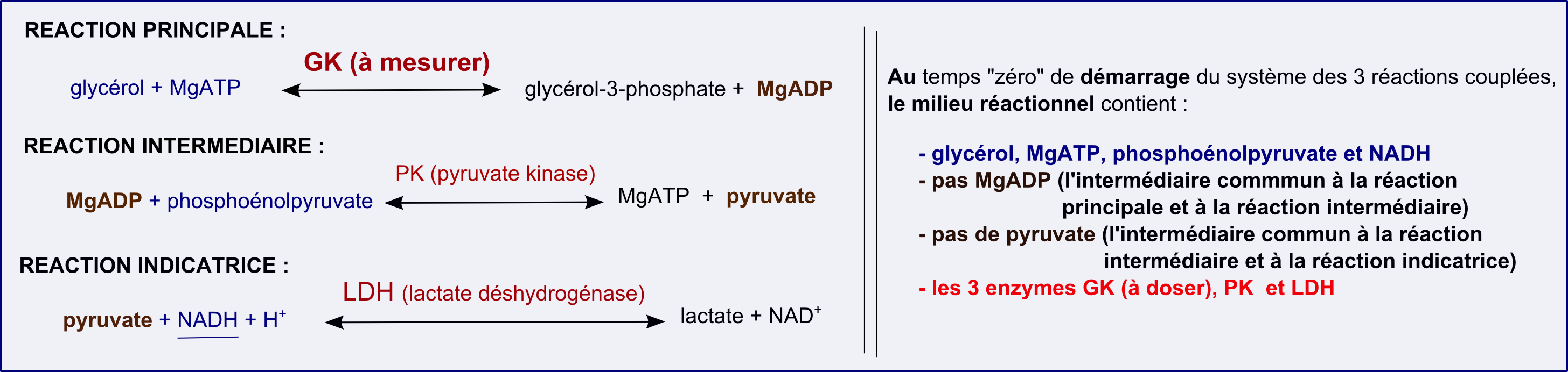 mesuredenzymesactivite-3-im4 (248K)