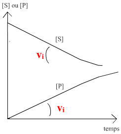 vi-obs (5K)