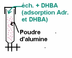 adsorption