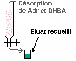 adsorption