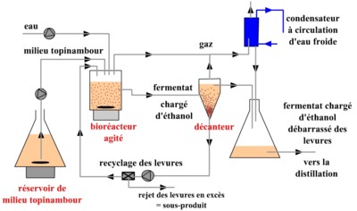 bioethanol avec topinambour