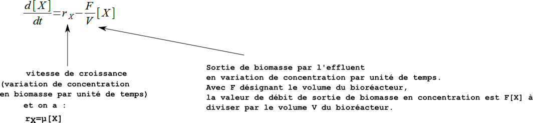 chemostat_2_im2 (29K)