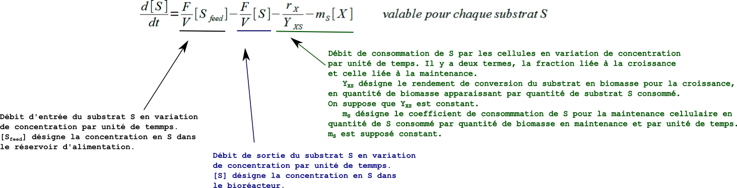 chemostat_2_im4 (111K)