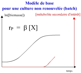 prodmetabolite1aire