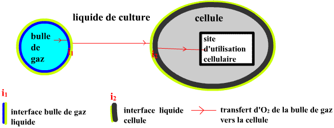 kla-transfertdioxygene (12K)