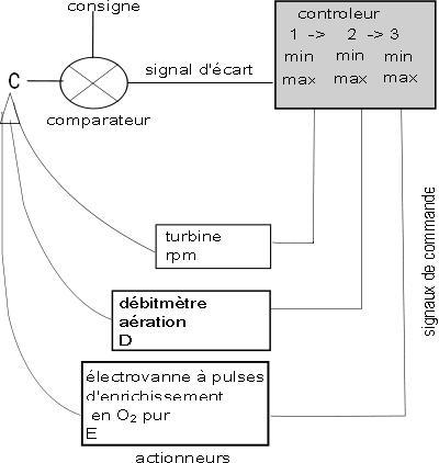 regulation-o2-cascade_f3 (16K)