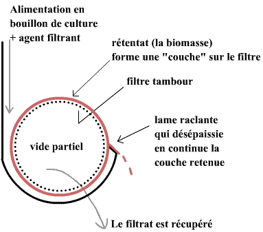 separation-biomasse-milieu_im1 (11K)