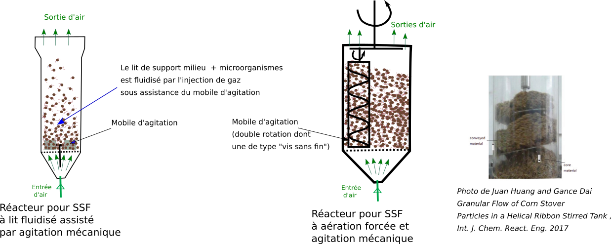 SSF agité aération forcée