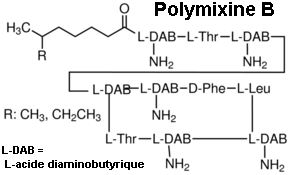 Polymixine