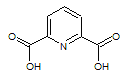 spores-dipicolinique (1K)