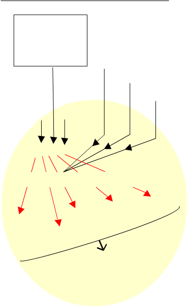 sourceselementairesautotrophe_trame (21K)