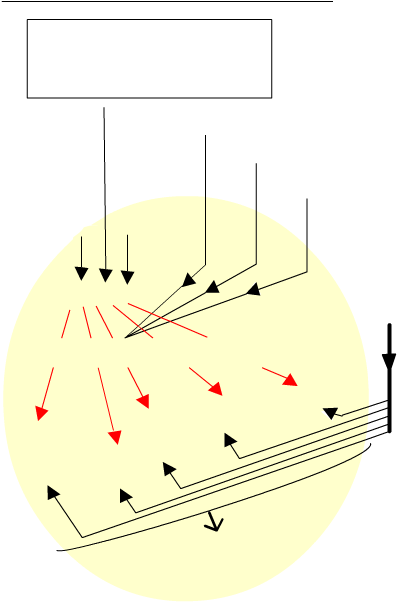 sourceselementairesheterotrophe_trame (27K)