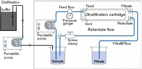 precipitation_2_fig1 (38K)