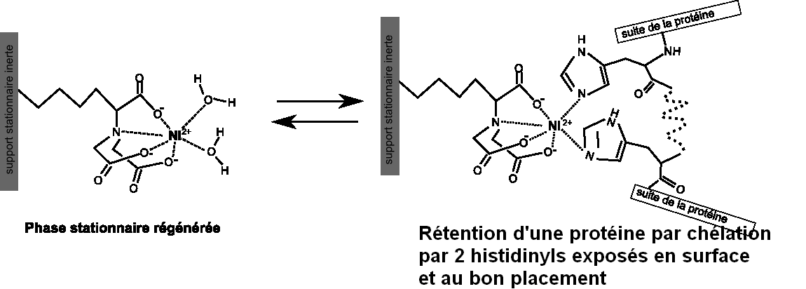 http://gutkoldingen.de/book/book-%D0%BC%D0%B8%D1%80-1995/